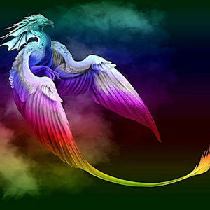 Meet your Posher, Paul